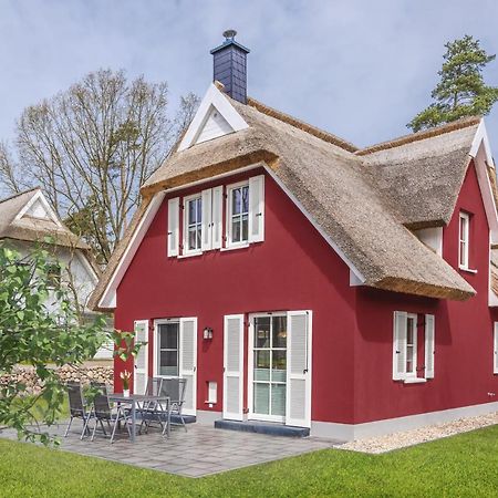 Reetdachhaus Am Haff Mit Sauna, Terrasse, Wlan Zirchow Exteriör bild