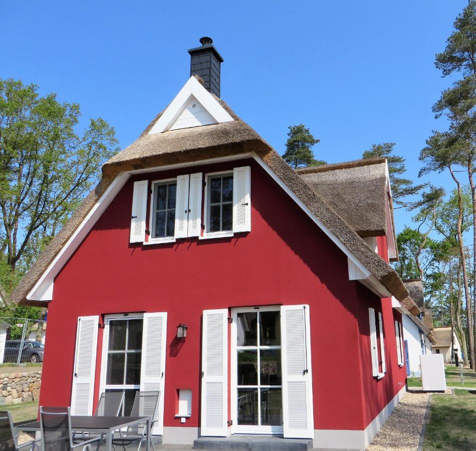 Reetdachhaus Am Haff Mit Sauna, Terrasse, Wlan Zirchow Exteriör bild